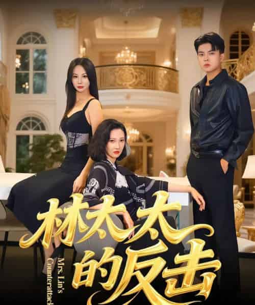 林太太的反击（69集全）李子园＆杨凌-海之城短剧项目