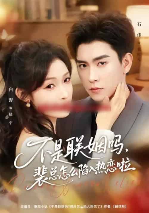 不是联姻吗，裴总怎么陷入热恋啦＆联姻对象是我的死对头（80集全）石佳＆白野-海之城短剧项目