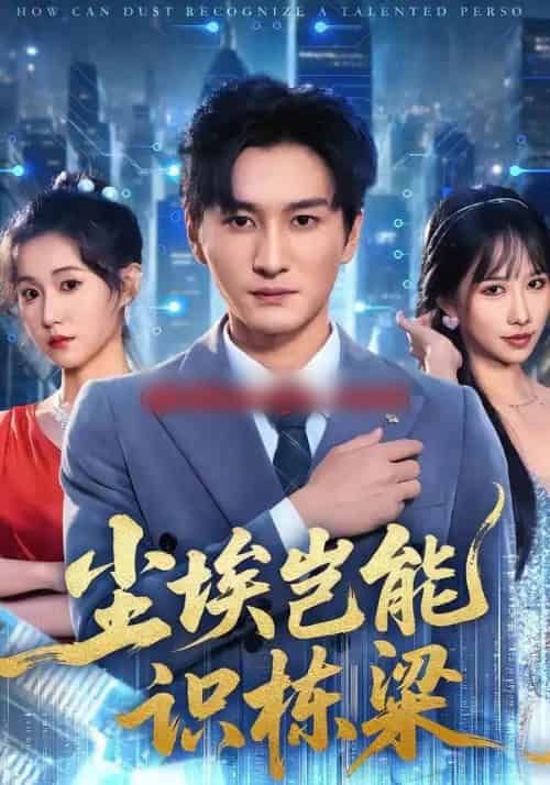 尘埃岂能识栋梁（65集全）甘欣然＆黄昱清＆苏格子-海之城短剧项目