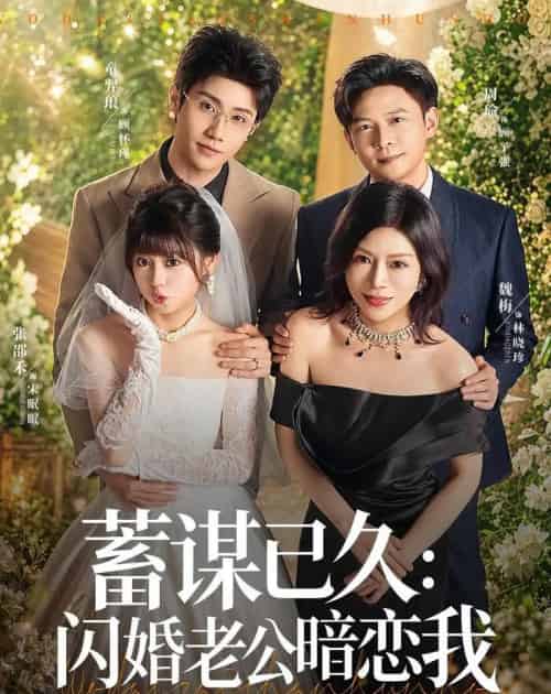 蓄谋已久：闪婚老公暗恋我＆我带崽闪婚后怎么老妈也（77集全）童羿琅＆张邵禾-海之城短剧项目
