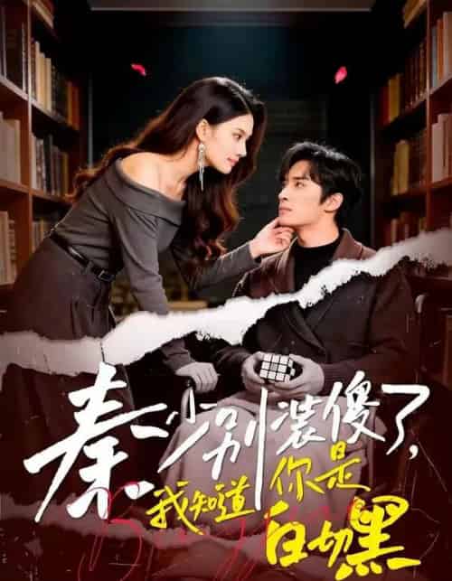 秦少别装傻了，我知道你是白切黑（60集全）王博＆赵文涓-海之城短剧项目