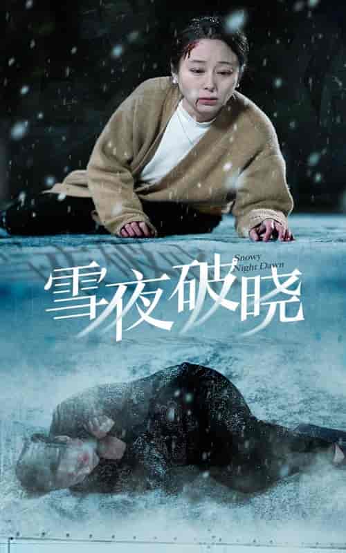 雪夜破晓（36集全） - 海之城短剧