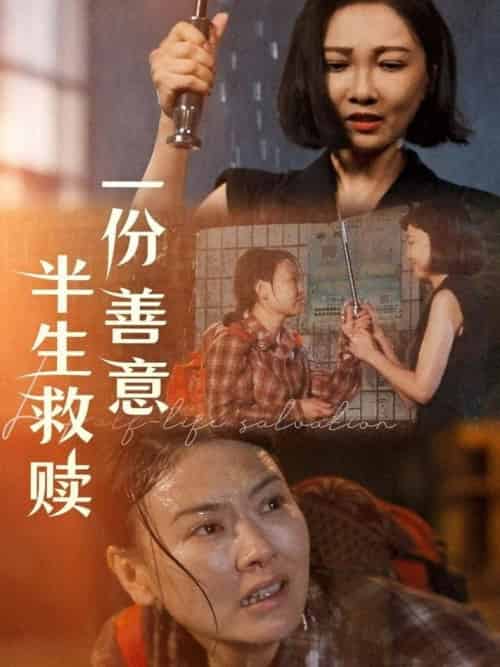 一份善意半生救赎（60集全）邢昀 - 海之城短剧