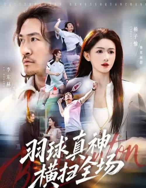 羽球真神横扫全场（65集全）李东赫＆杨子愉-海之城短剧项目