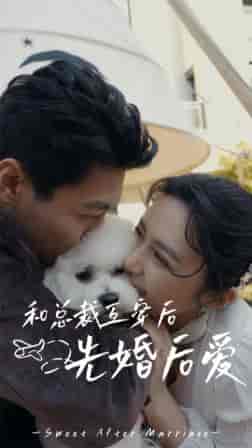 和总裁互穿后先婚后爱（60集） - 海之城短剧