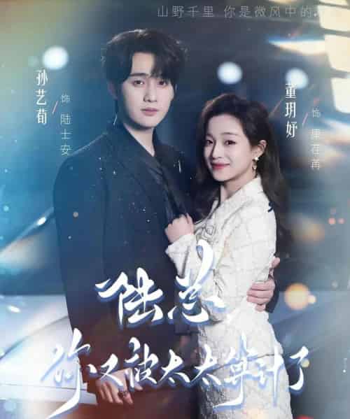 陆总，你又被太太算计了（70集全）孙艺荀＆董玥妤-海之城短剧项目