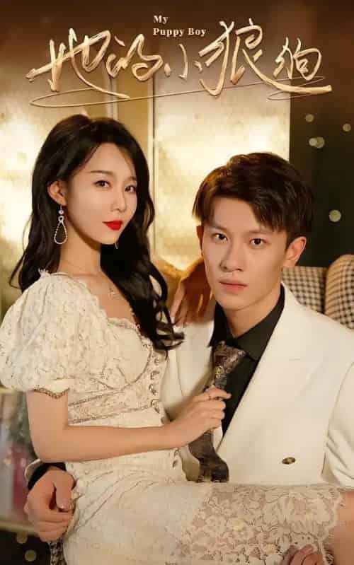 她的小狼狗＆灿烂的风（60集全）冯伊洋＆刘寒羽-海之城短剧项目