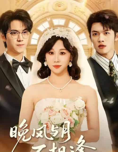 晚风与月不相逢（73集全）夏屿＆牟映竹-海之城短剧项目