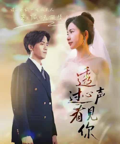 透过心声看见你（70集全）陆路＆维尼-海之城短剧项目