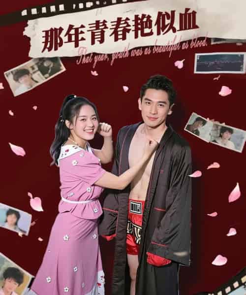 那年青春艳似血   共59集-海之城短剧项目