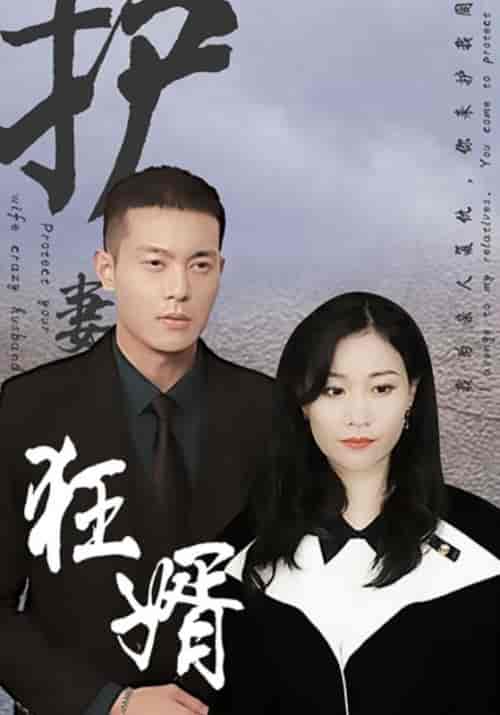 护妻狂婿（100集全）霍启晟＆林欣妍 - 海之城短剧