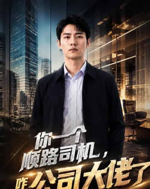 你一个顺路司机，咋成公司大佬了（30集全）AI-海之城短剧项目