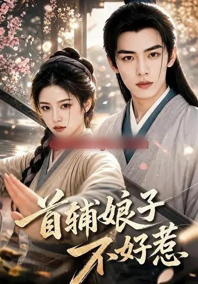 首辅娘子不好惹（156集全）AI短剧-海之城短剧项目