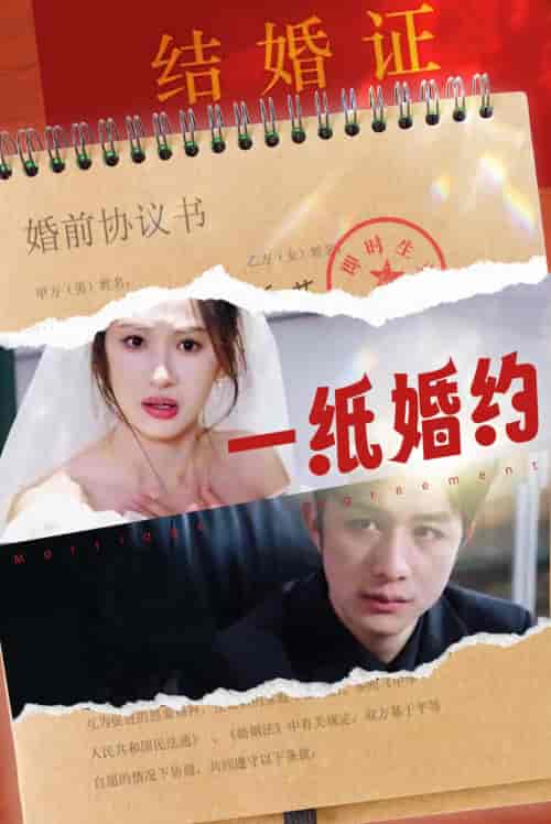 一纸婚约（90集） - 海之城短剧