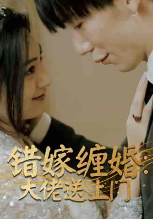 错嫁缠婚：大佬送上门（80集）厉夜霆＆苏清浅 - 海之城短剧