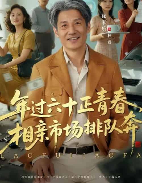 老夫聊发少年狂，保姆成群很正常＆年过六十正青春，相亲市场排队奔（73集全）谢昀＆徐家乐-海之城短剧项目