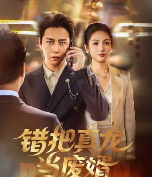 错把真龙当废婿 错把真龙当废婿