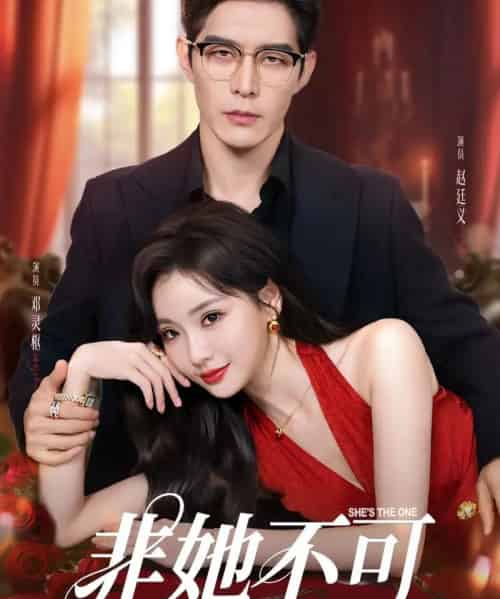 非她不可（88集）赵廷义＆邓灵枢-海之城短剧项目