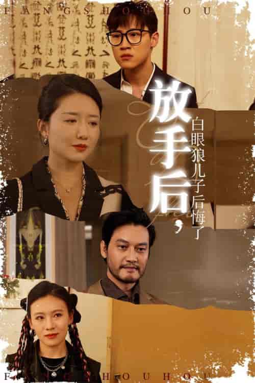 放手后，白眼狼儿子后悔了（54集全） - 海之城短剧