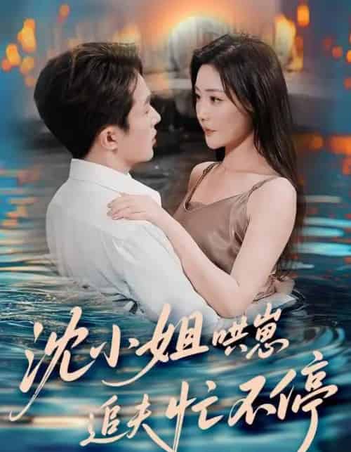 沈小姐哄崽追夫忙不停 沈小姐哄崽追夫忙不停