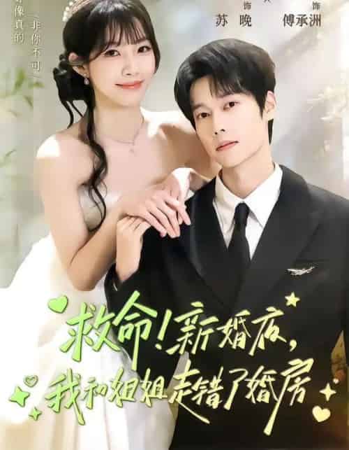 救命！新婚夜，我和姐姐走错了婚房（58集全）盛一辰＆赵偲佟-海之城短剧项目