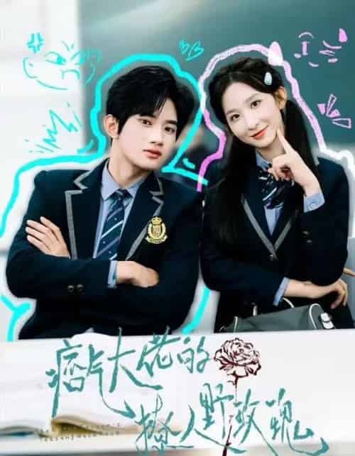 痞气大佬的撩人野玫瑰（80集全）李悦暄＆王浩宇-海之城短剧项目