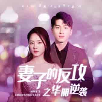 妻子的反攻之华丽逆袭（30集全） - 海之城短剧