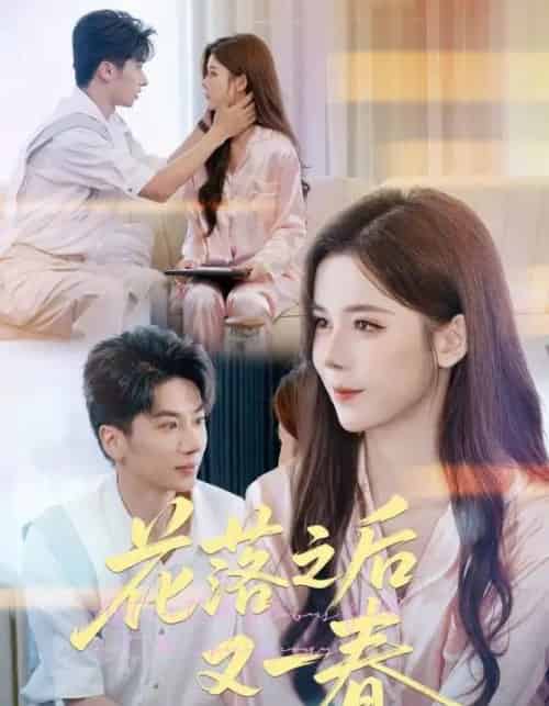 花落之后又一春（60集全）王宜洋＆苏弋涵-海之城短剧项目