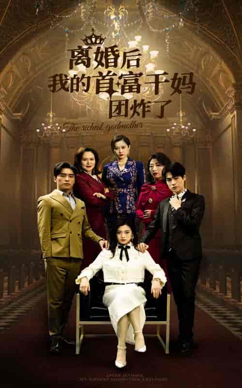 离婚后我的首富干妈团炸了 离婚后我的首富干妈团炸了