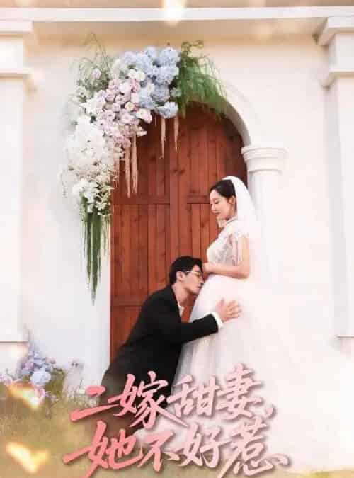 二嫁甜妻她不好惹 （83集全） 庄汐玥＆王璐-海之城短剧项目