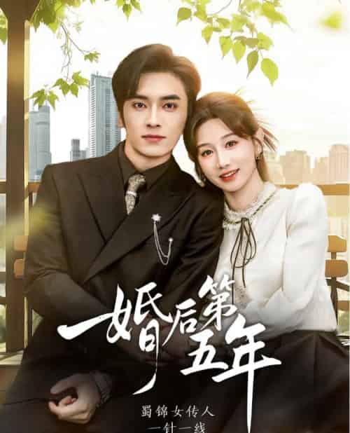 婚后第五年（61集全）王博＆马铭婕-海之城短剧项目