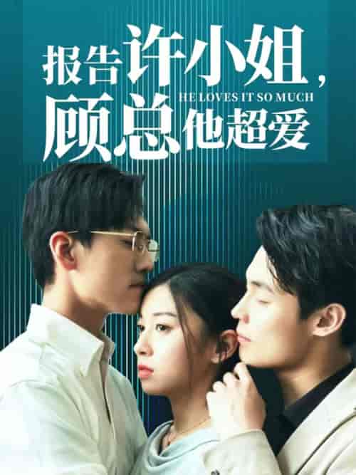 报告许小姐,顾总他超爱 报告许小姐,顾总他超爱