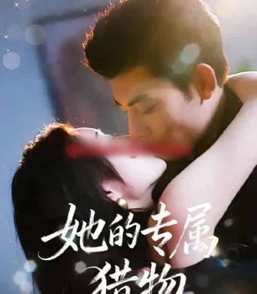 她的专属猎物（80集全）马超＆那馨-海之城短剧项目