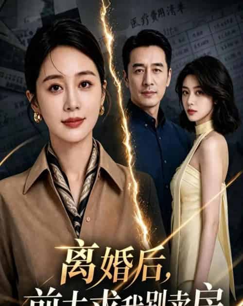 离婚后，前夫求我别卖房（54集全）AI-海之城短剧项目