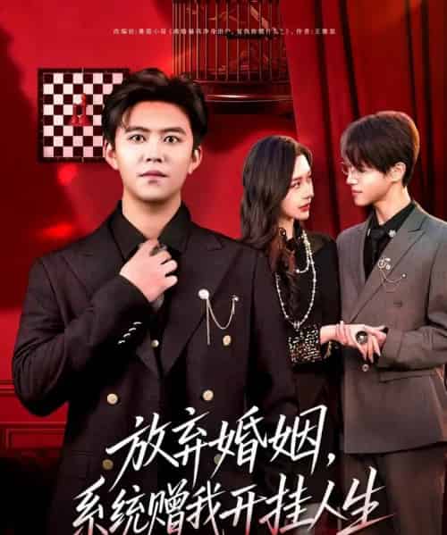 放弃婚姻，系统赠我开挂人生（60集全）王依海＆张子唯-海之城短剧项目