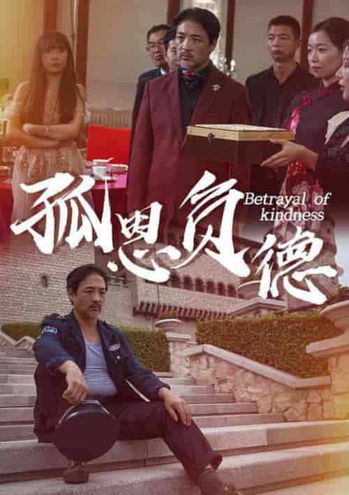 孤恩负德（60集全） - 海之城短剧