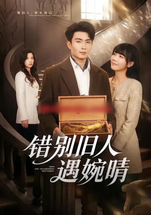 错别旧人遇婉晴（79集全） - 海之城短剧