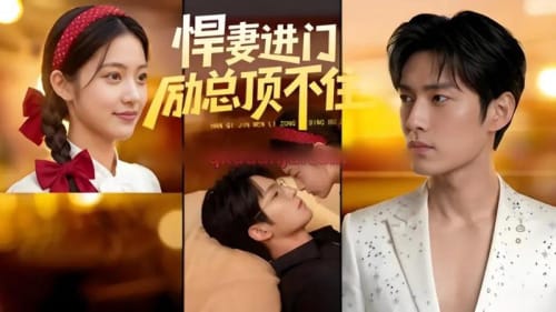 悍妻进门励总顶不住1080P（55集全）AI企鹅独播 - 海之城短剧