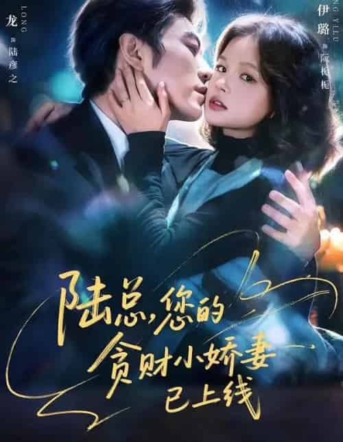 陆总，您的贪财小娇妻已上线（80集全）于龙＆杨咩咩-海之城短剧项目