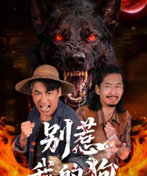 别惹我的狗（40集全）高毅＆张斯予＆陈鸿运-海之城短剧项目