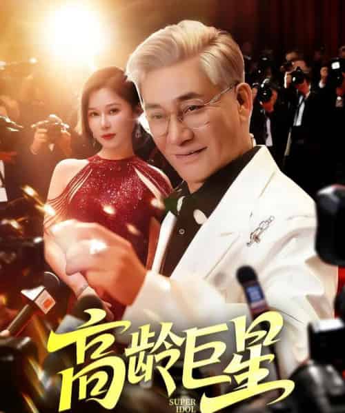 高龄巨星（79集）何雨桐-海之城短剧项目