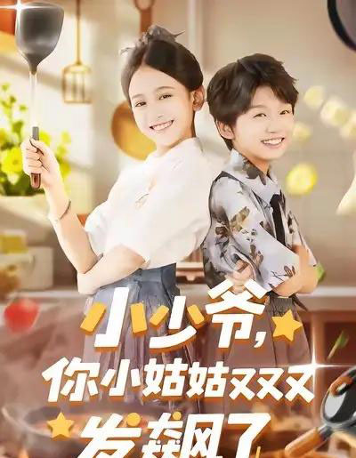 小少爷，你小姑姑又又又发飙了（99集全）-海之城短剧项目