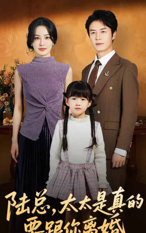 陆总，太太是真的要跟你离婚（52集全）陈聿修＆梁婧娴-海之城短剧项目