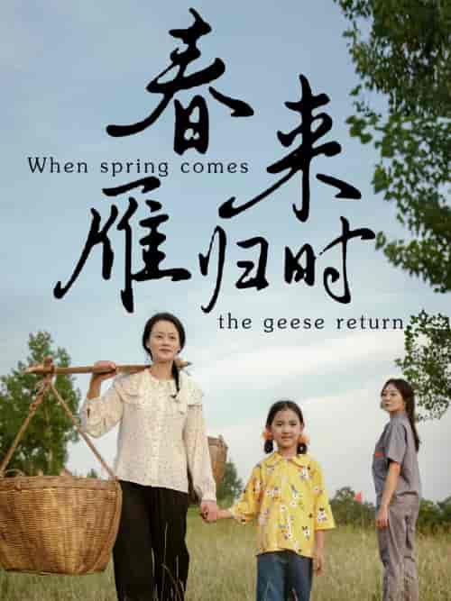 春来雁归时（61集全） - 海之城短剧