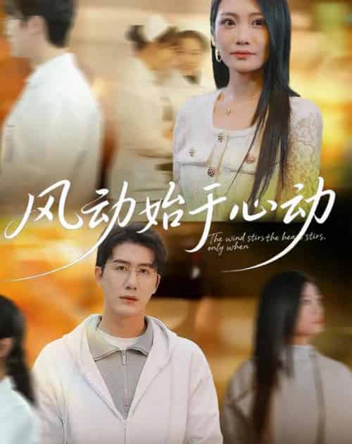 风动始于心动（81集全）李永佳＆黄靖-海之城短剧项目