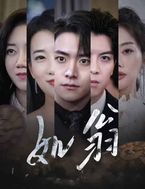 如翁（32集全） - 海之城短剧