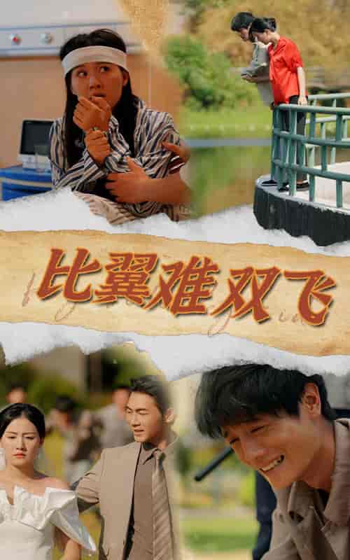 比翼难双飞（30集全） - 海之城短剧
