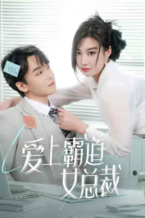 爱上霸道女总裁（73集全） - 海之城短剧