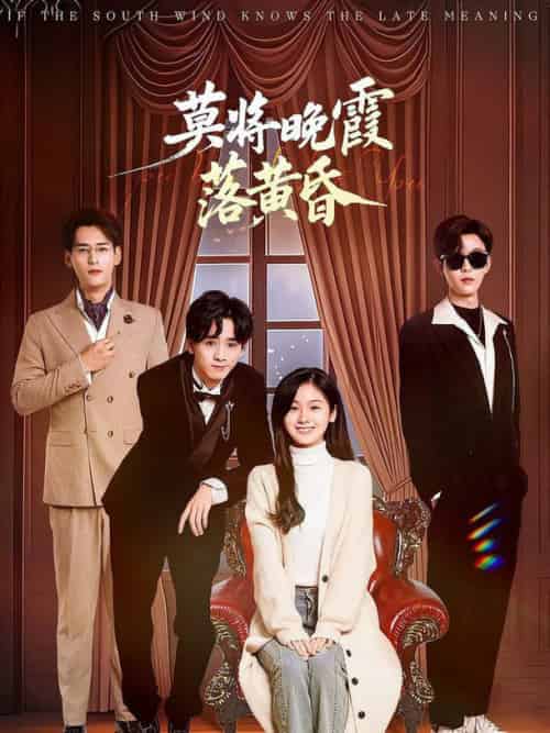莫将晚霞落黄昏（62集全）田苗苗 - 海之城短剧