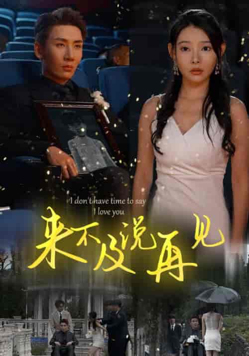 来不及说再见（30集）刘博洋 - 海之城短剧